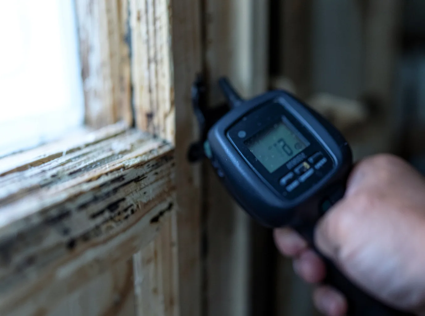 Moisture Inspection And Documentation in Brockton, PA